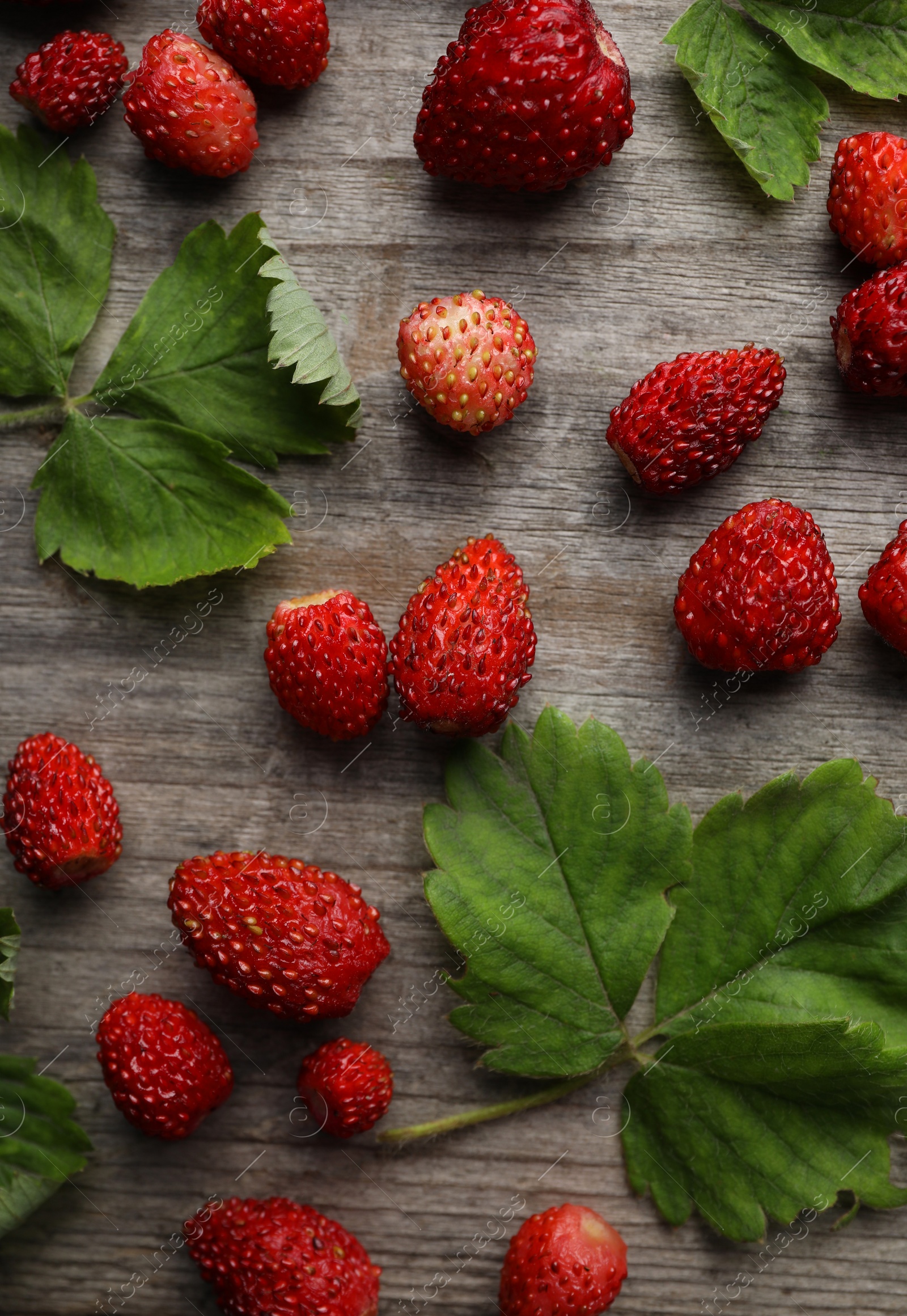 Photo of Many fresh wild strawberries and leaves on wooden table, flat lay