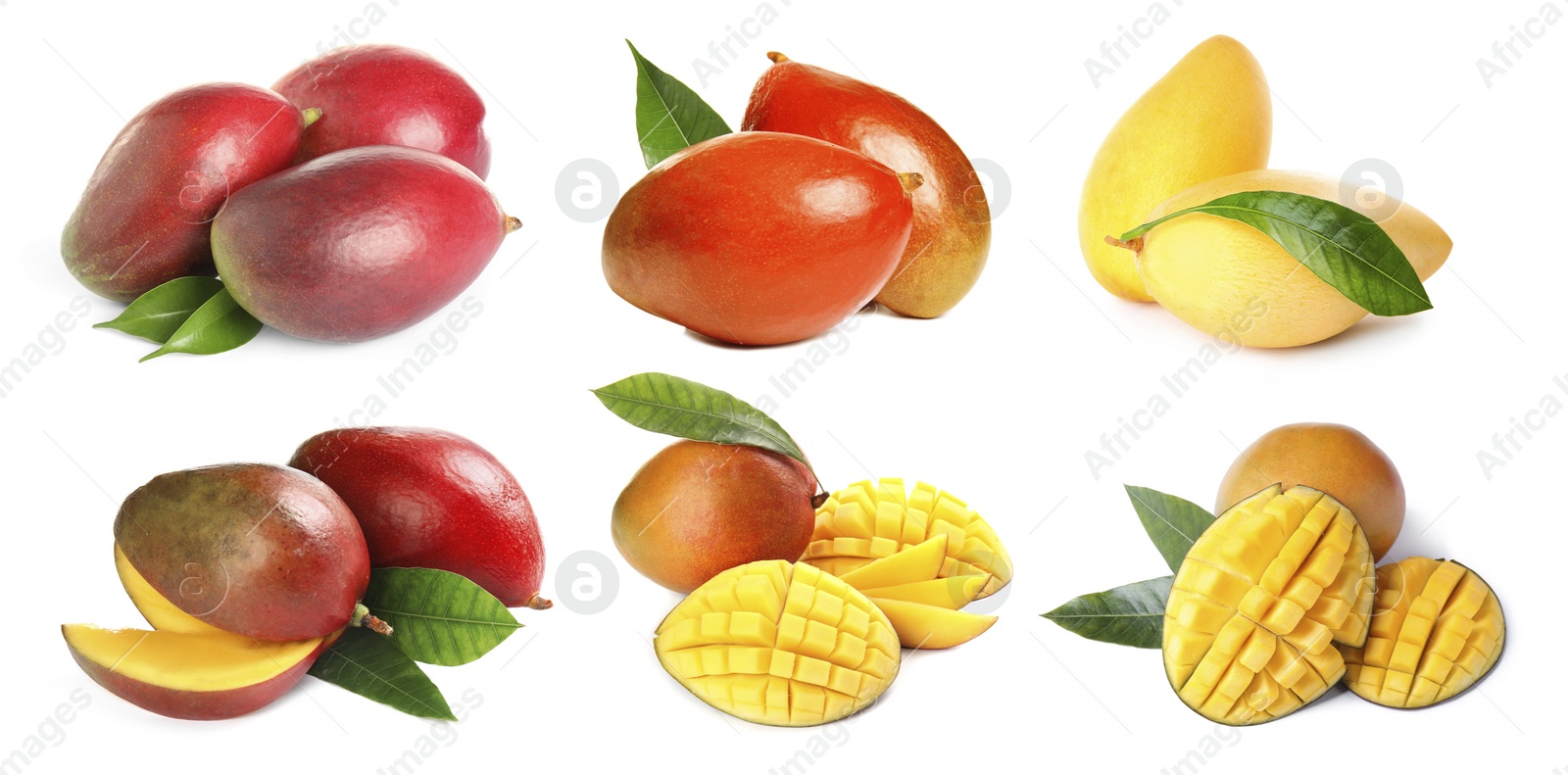 Image of Set of delicious mangoes on white background. Banner design