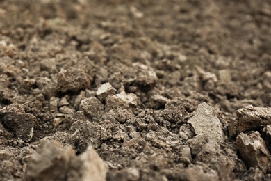 Textured ground surface as background, closeup. Fertile soil for farming and gardening