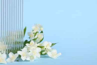 Beautiful jasmine flowers on light blue background, space for text