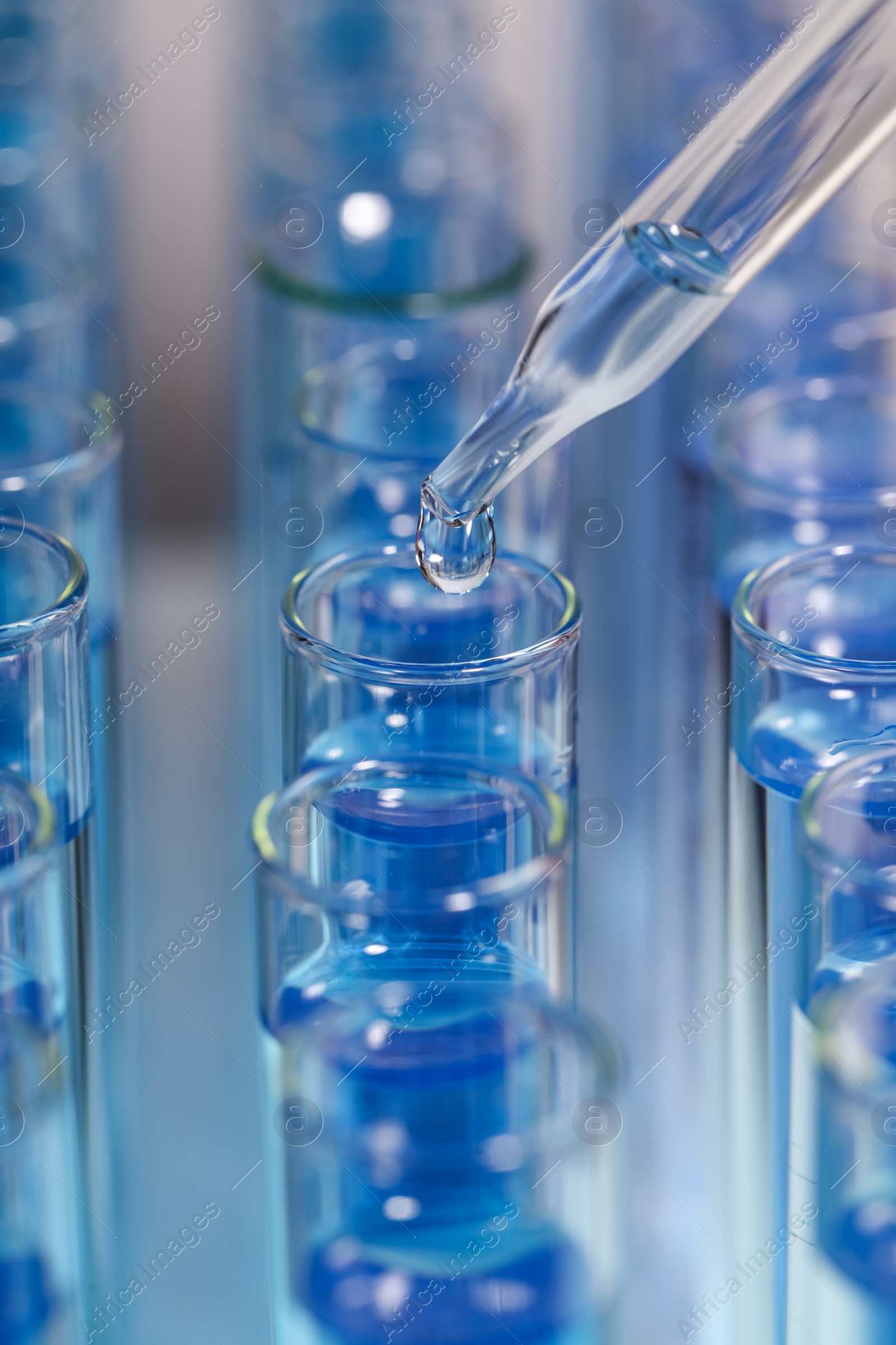 Photo of Dripping reagent into test tube with blue liquid on light background, closeup. Laboratory analysis