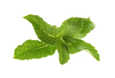 Photo of Leaves of fresh mint isolated on white