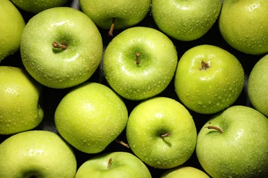 Ripe green apples with water drops as background, top view
