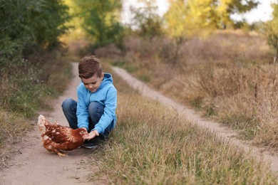 Farm animal. Cute little boy with chicken in countryside, space for text