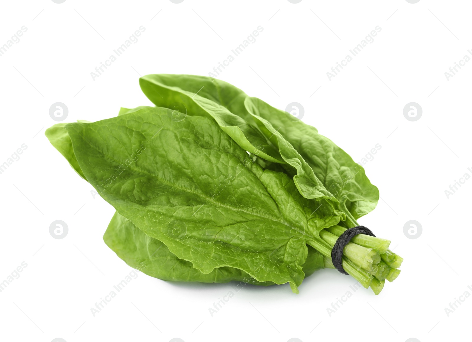 Photo of Bundle of fresh spinach isolated on white