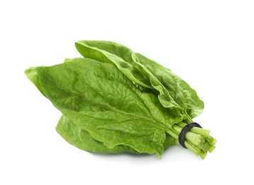 Photo of Bundle of fresh spinach isolated on white