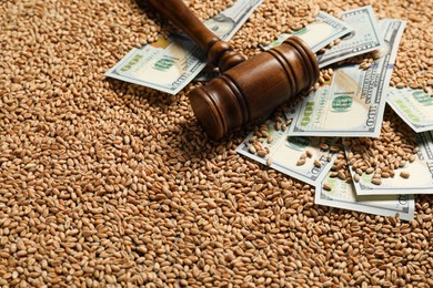 Photo of Dollar banknotes and wooden gavel on wheat grains. Agricultural business