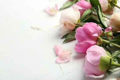 Beautiful peonies on white wooden table, closeup. Space for text