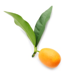 Fresh ripe kumquat with green leaves isolated on white
