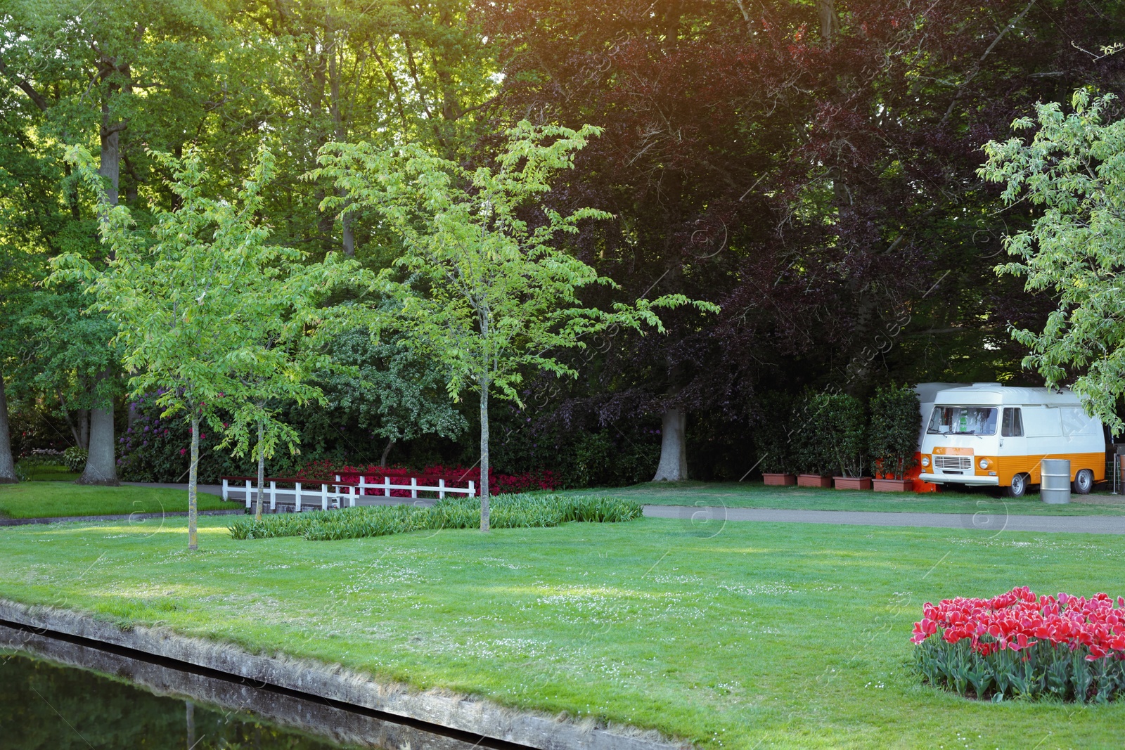 Photo of Park with beautiful plants and water canal on sunny day. Spring season