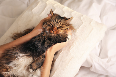 Photo of Woman with her cute cat on bed, closeup. Fluffy pet