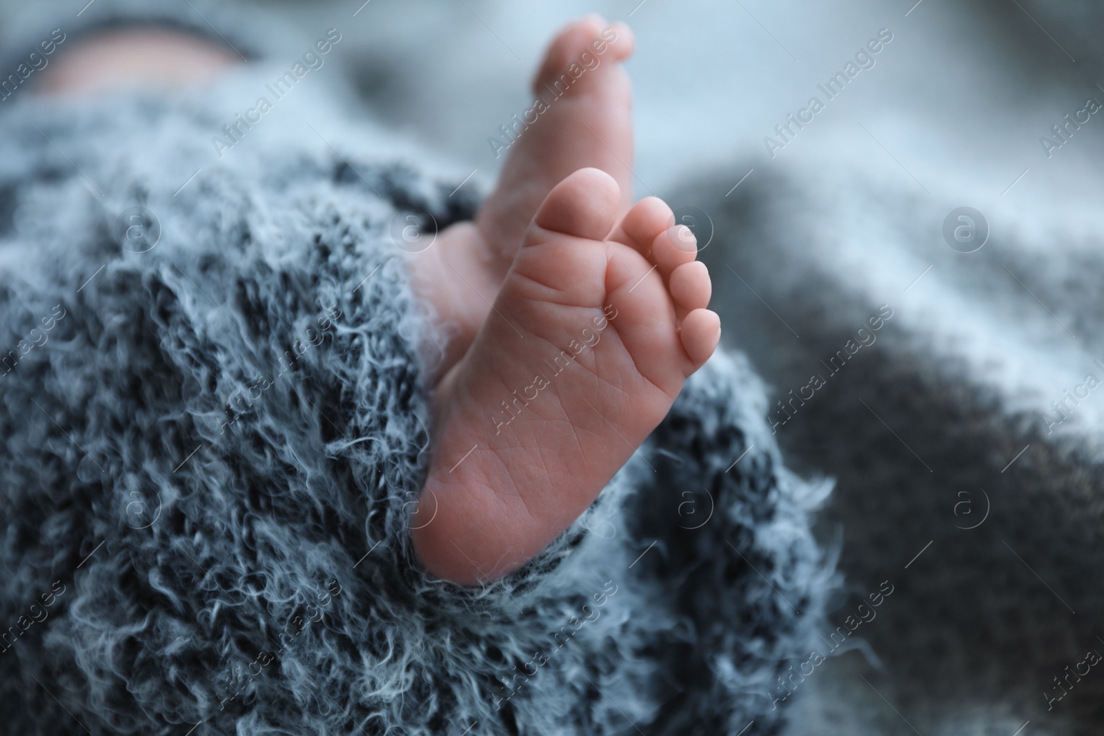 Photo of Newborn baby lying on blanket, closeup of legs