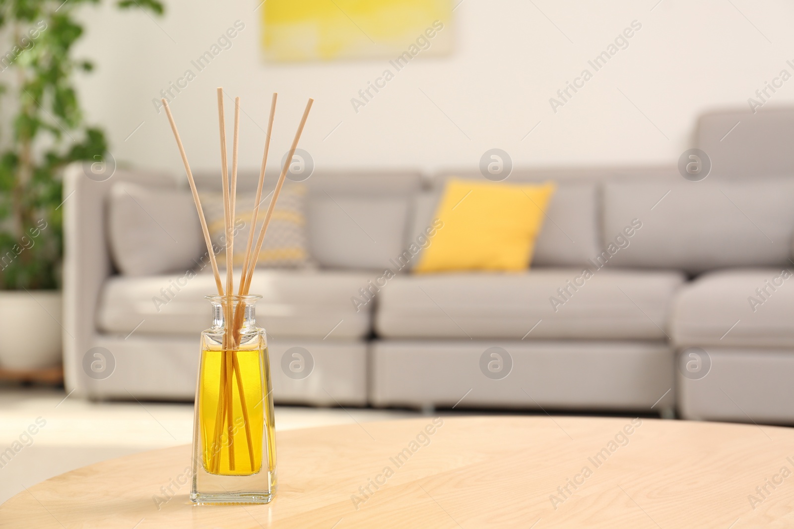 Photo of Reed air freshener with essential oil on table in room. Space for text