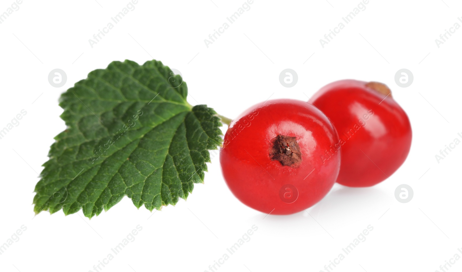 Photo of Fresh ripe red currant berries and green leaf isolated on white