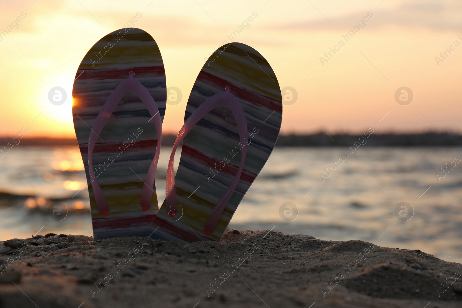 Photo of Stylish flip flops on sand near sea, space for text. Beach accessories