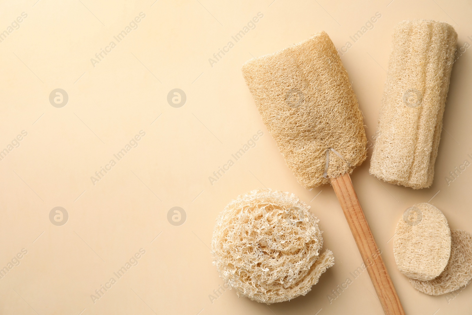 Photo of Natural shower loofah sponges on beige background, flat lay. Space for text