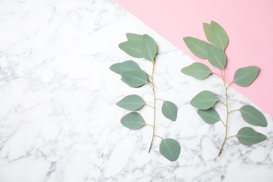 Photo of Flat lay composition with fresh eucalyptus leaves and space for design on marble background