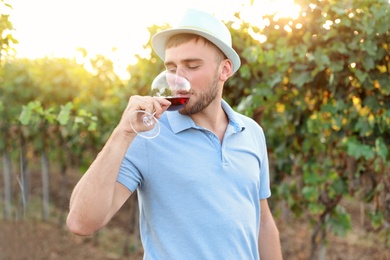 Photo of Young handsome man enjoying wine at vineyard