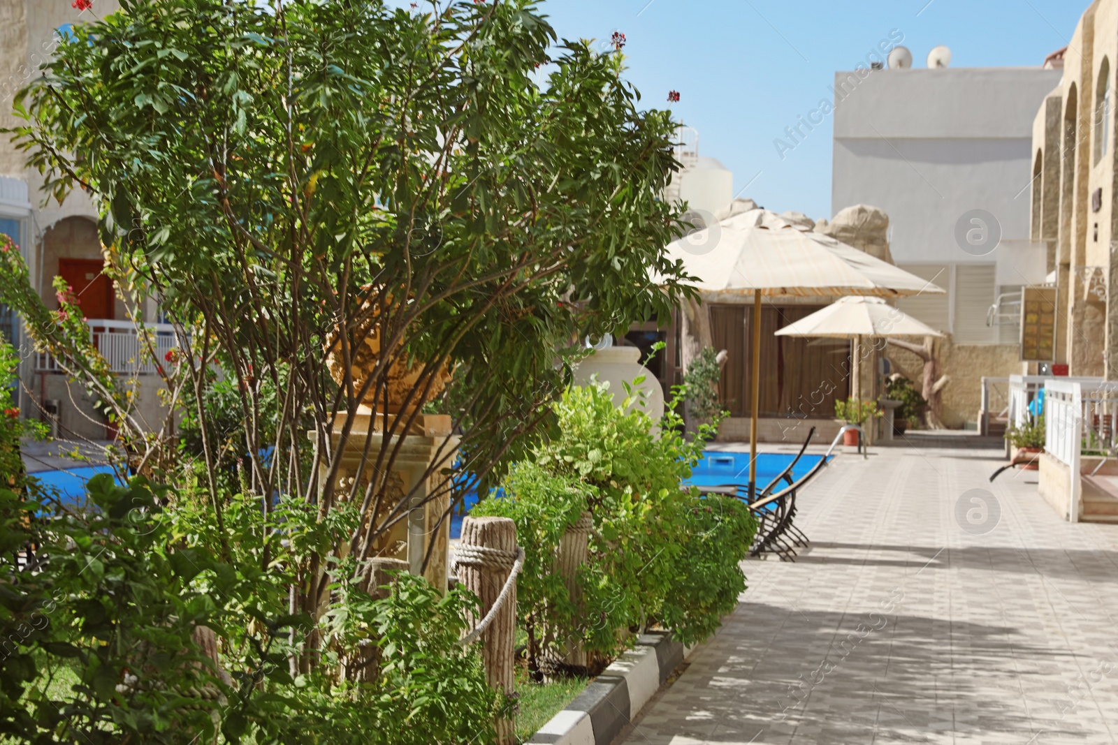 Photo of Modern luxury hotel with swimming pool on sunny day