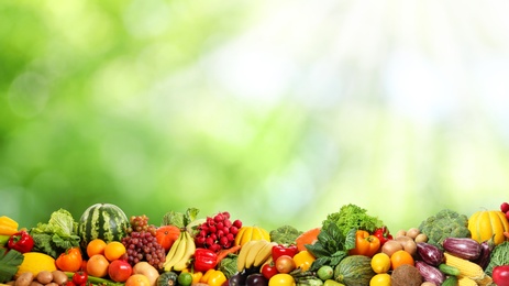 Image of Assortment of fresh organic vegetables and fruits on blurred green background. Banner design 