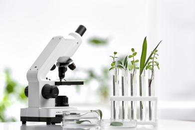 Laboratory glassware with different plants and microscope on table against blurred background. Chemistry research