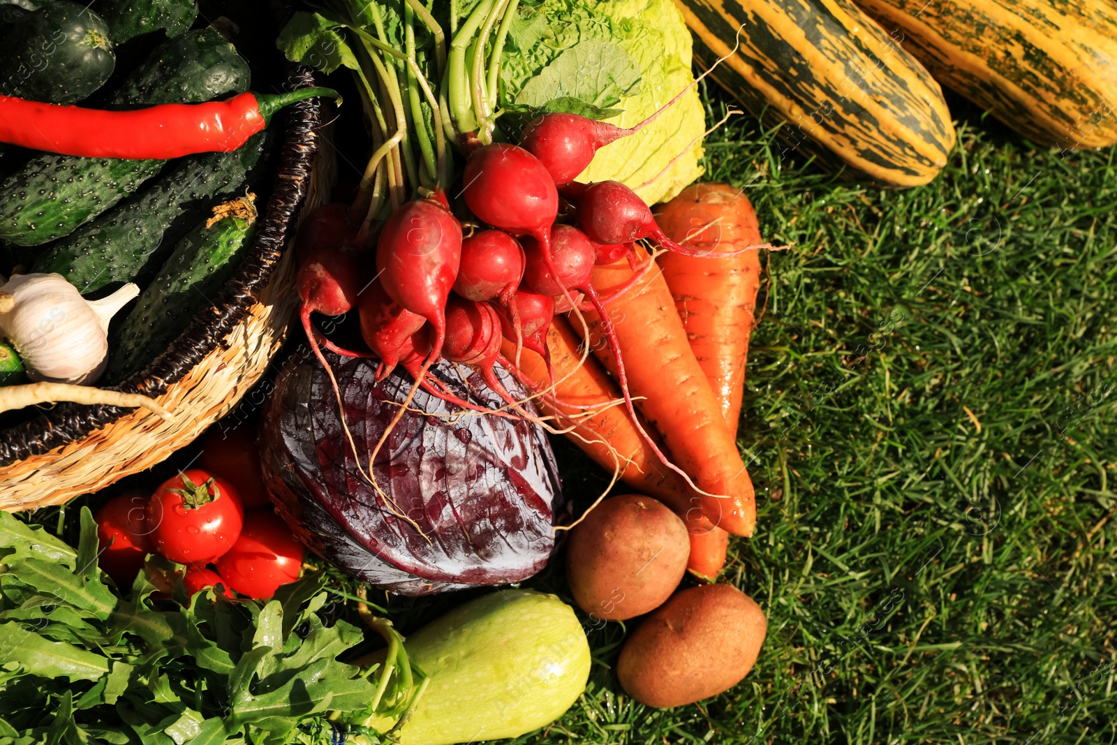 Photo of Different fresh ripe vegetables on green grass, flat lay