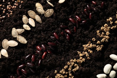 Different vegetable seeds on fertile soil, flat lay