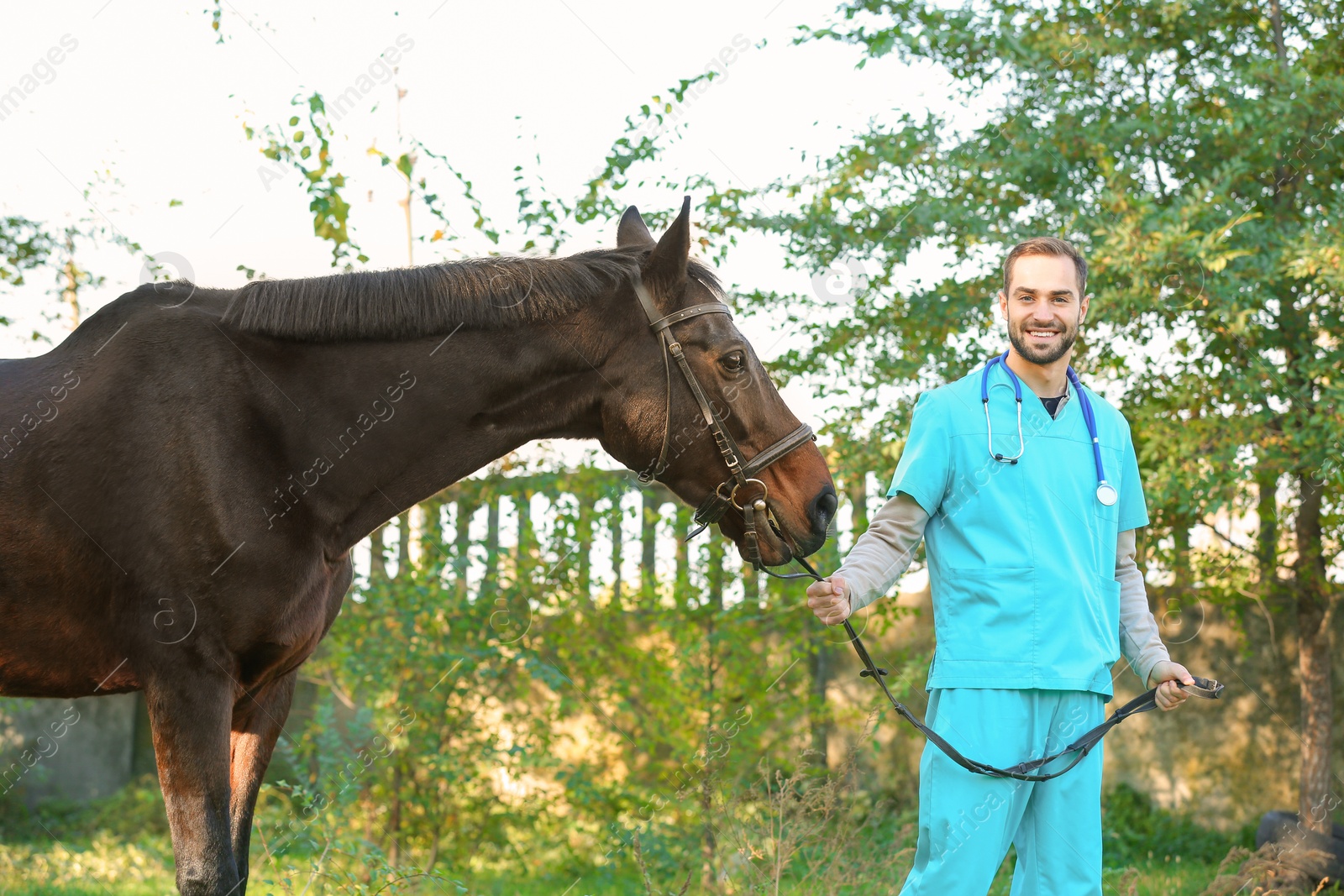 Photo of Veterinarian in uniform with beautiful brown horse outdoors