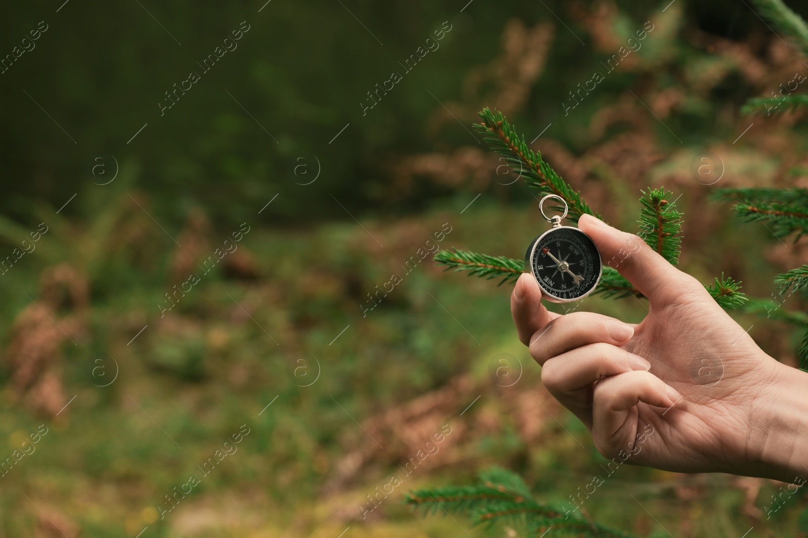 Photo of Woman checking modern compass in wilderness, closeup with space for text