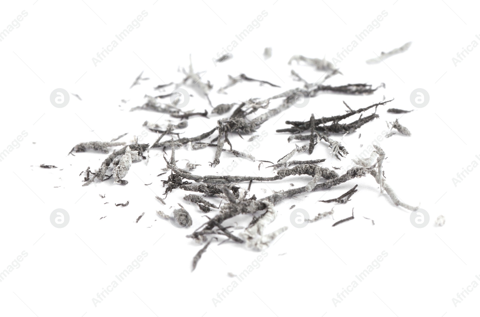 Photo of Pile of grey eraser crumbs on white background