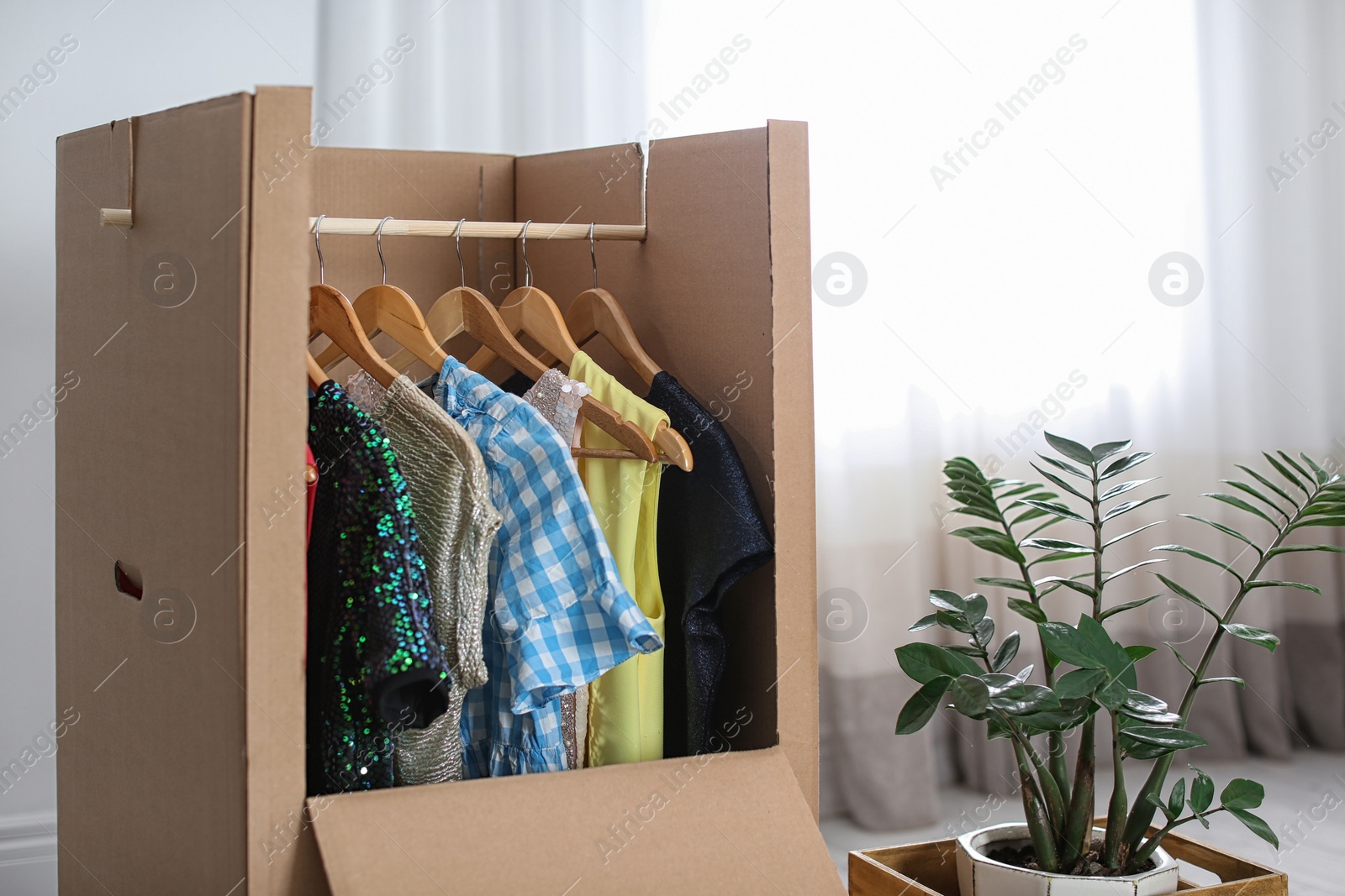 Photo of Cardboard wardrobe box with clothes on hangers and houseplant indoors. Moving day