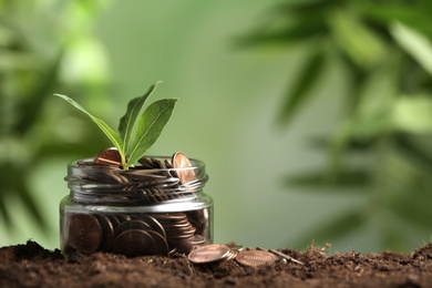 Glass jar of coins with young plant on soil against blurred background, space for text