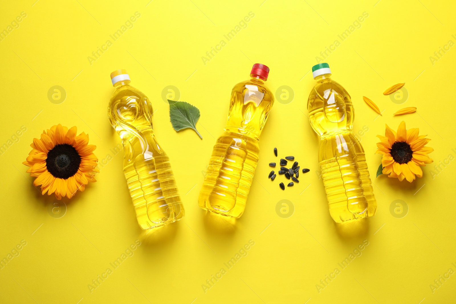 Photo of Bottles of cooking oil, sunflowers and seeds on yellow background, flat lay