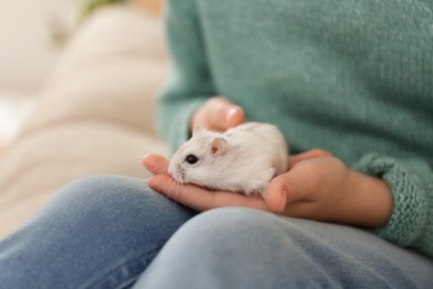 Photo of Little girl with cute hamster at home, closeup