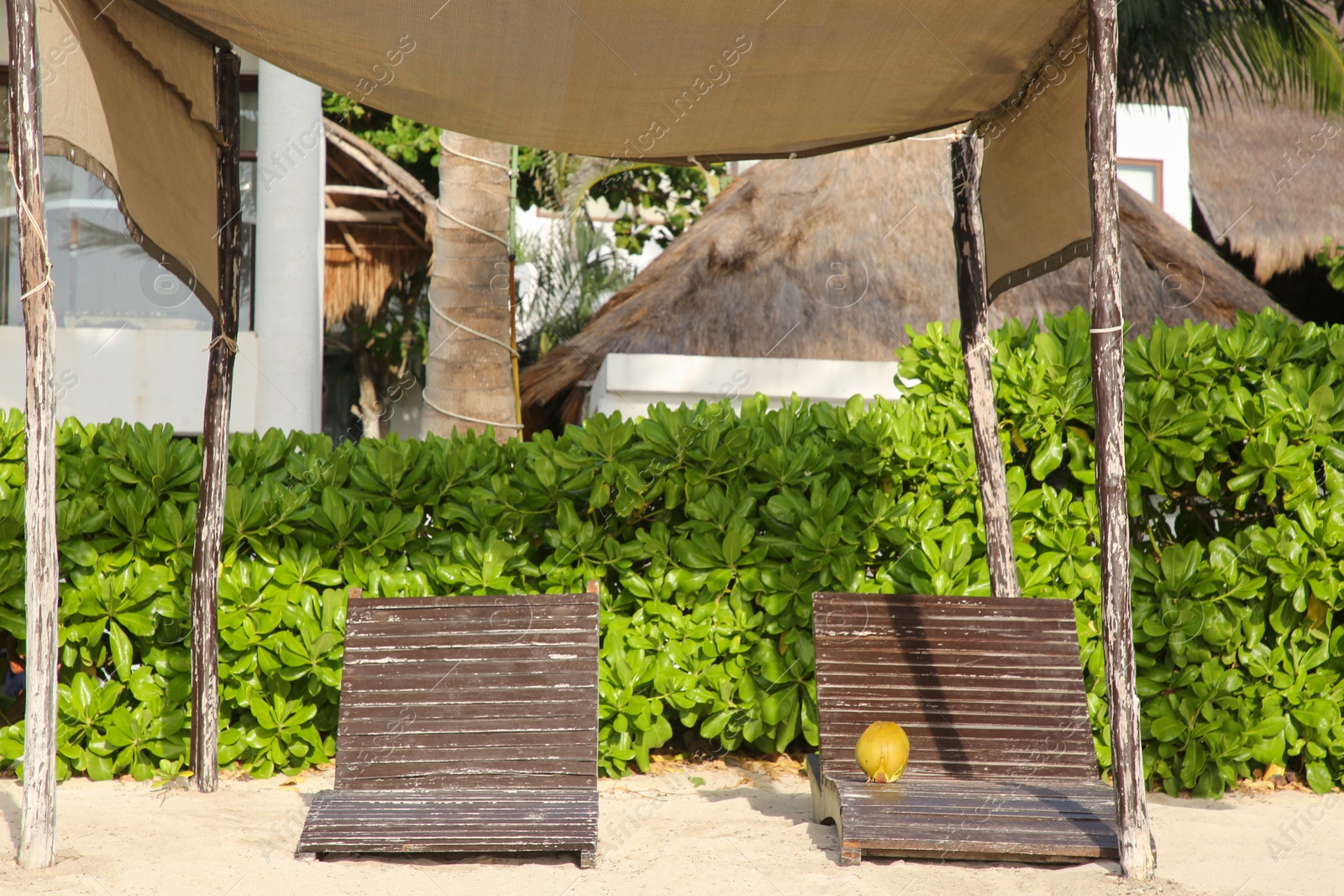 Photo of Wooden sunbeds and canopy on tropical beach on sunny day