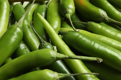 Photo of Ripe green chili peppers as background, closeup