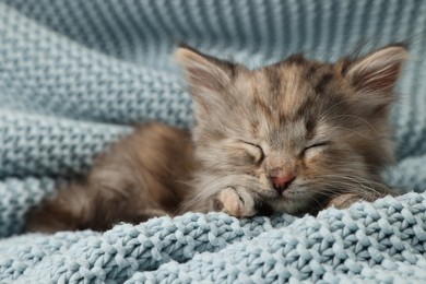 Photo of Cute kitten sleeping on light blue knitted blanket