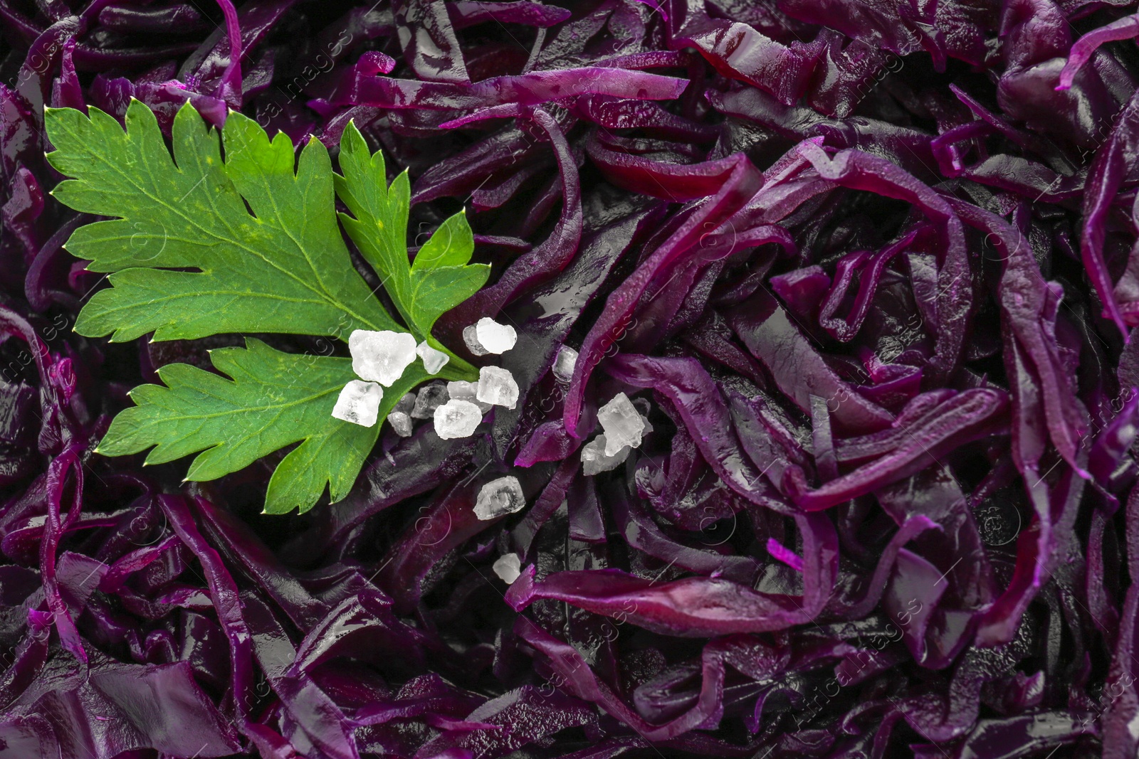 Photo of Tasty red cabbage sauerkraut with salt and parsley as background, top view