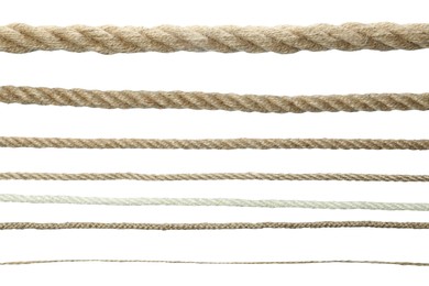 Set of hemp ropes isolated on white