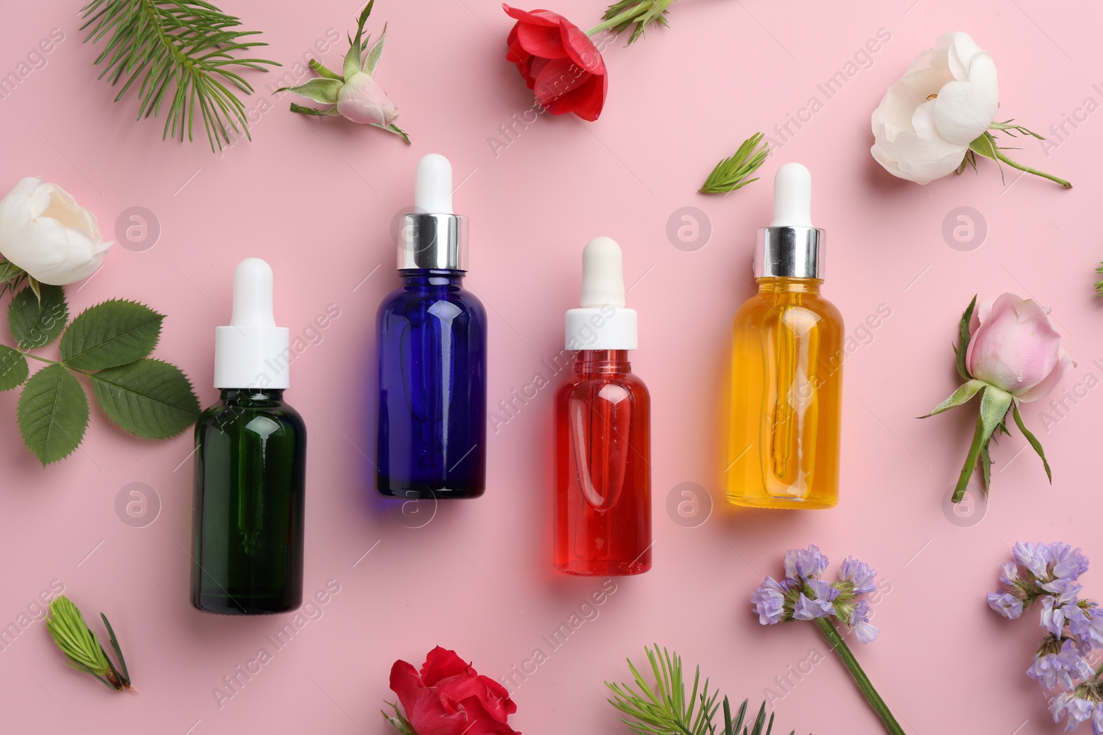 Photo of Aromatherapy. Different essential oils, flowers and fir twigs on pink background, flat lay