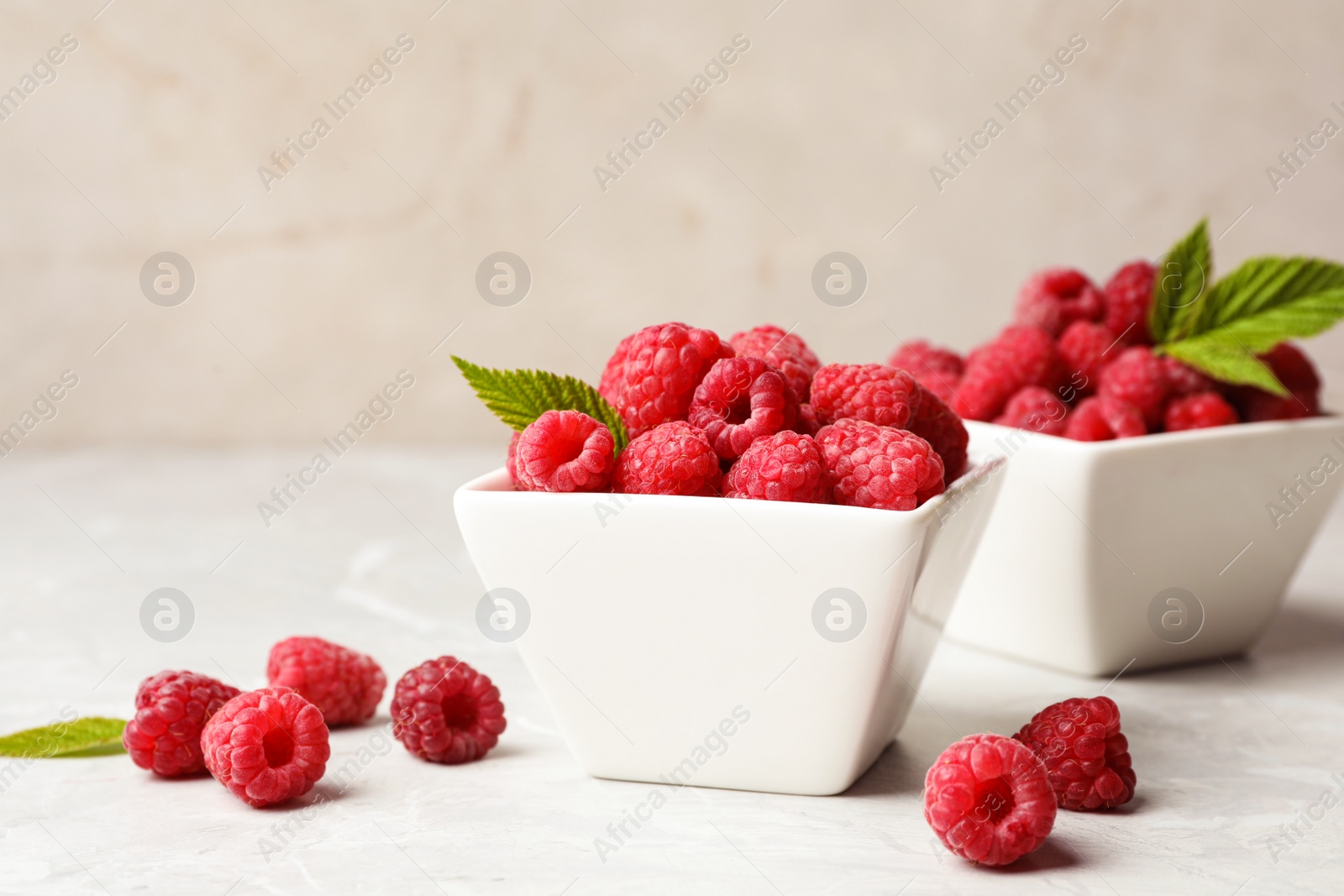 Photo of Bowls with delicious ripe raspberries on marble table against light background, space for text