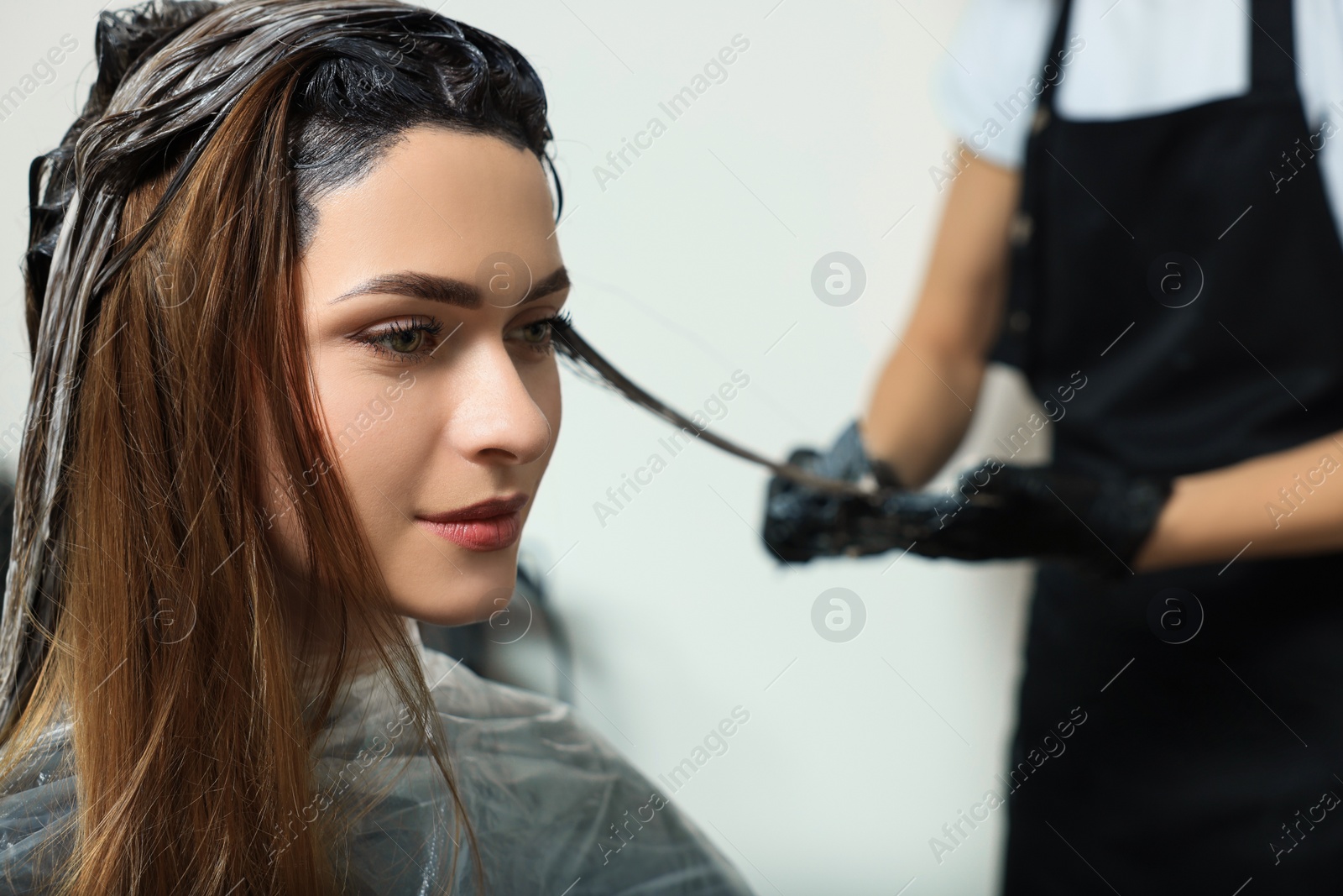 Photo of Professional hairdresser dyeing client's hair in beauty salon