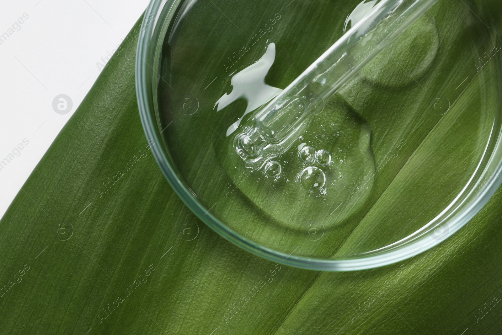 Photo of Petri dish with sample of cosmetic oil, pipette and green leaf on white background, top view