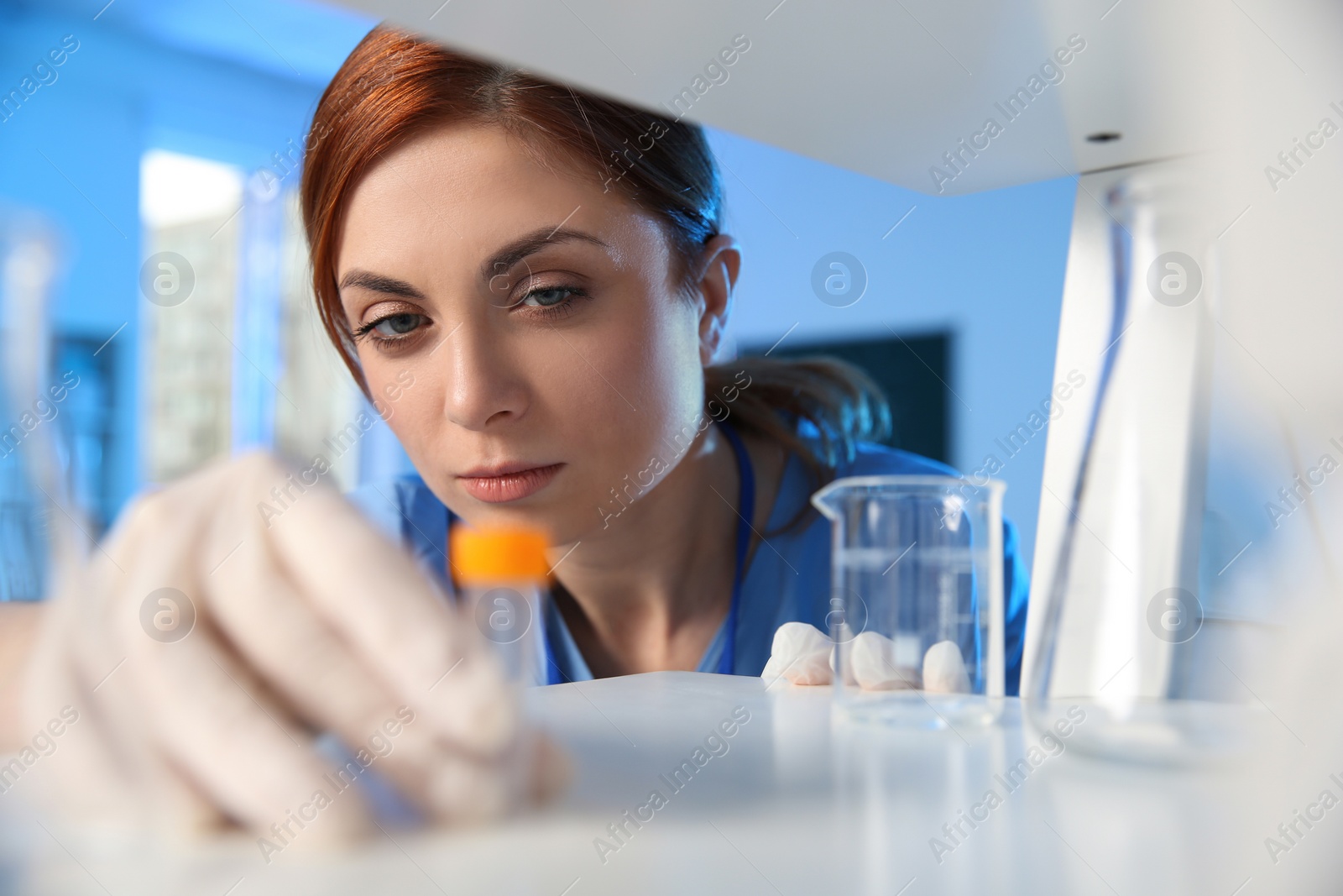 Photo of Female scientist working with sample in modern chemistry laboratory