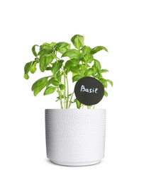 Image of Green basil with tag in pot isolated on white