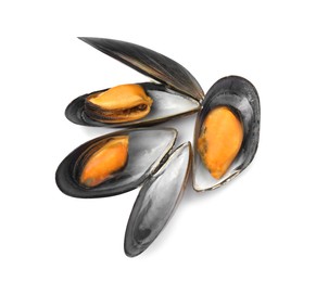 Photo of Delicious cooked mussels in shells on white background, top view