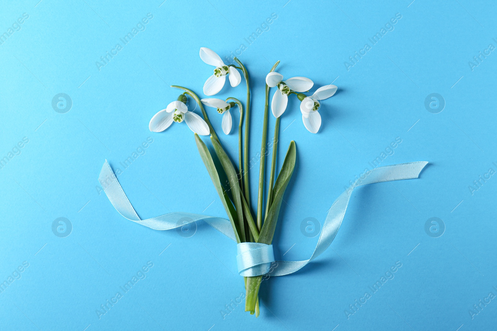 Photo of Beautiful snowdrops on light blue background, flat lay