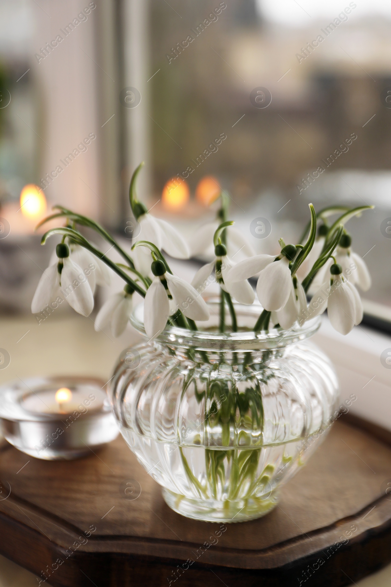 Photo of Spring is coming. Beautiful snowdrops and candle on windowsill indoors