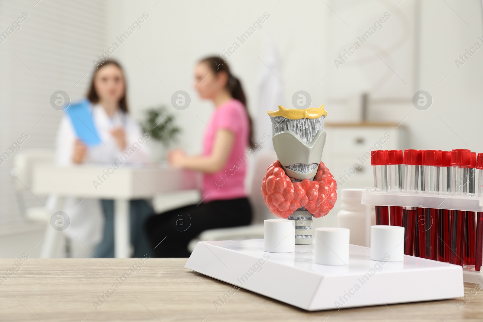 Photo of Endocrinologist examining patient at clinic, focus on model of thyroid gland and blood samples in test tubes