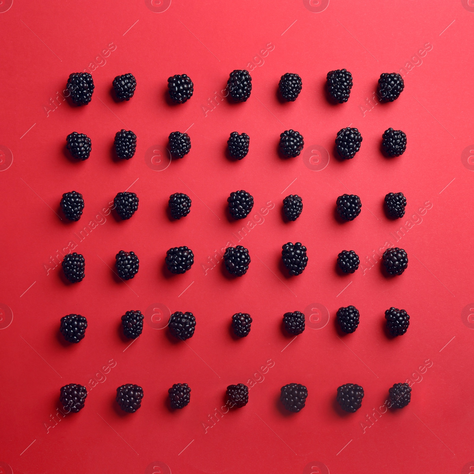 Photo of Flat lay composition with ripe blackberries on red background